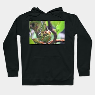 Chameleon Hoodie